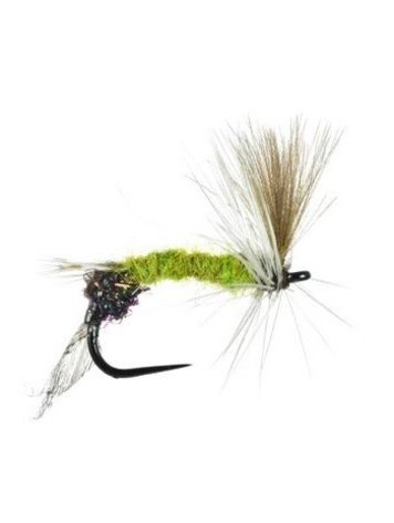 Umpqua Feather Merchants Silvey's Hatching Mayfly