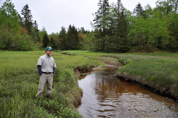 Can Hatcheries Help Wild Fish?