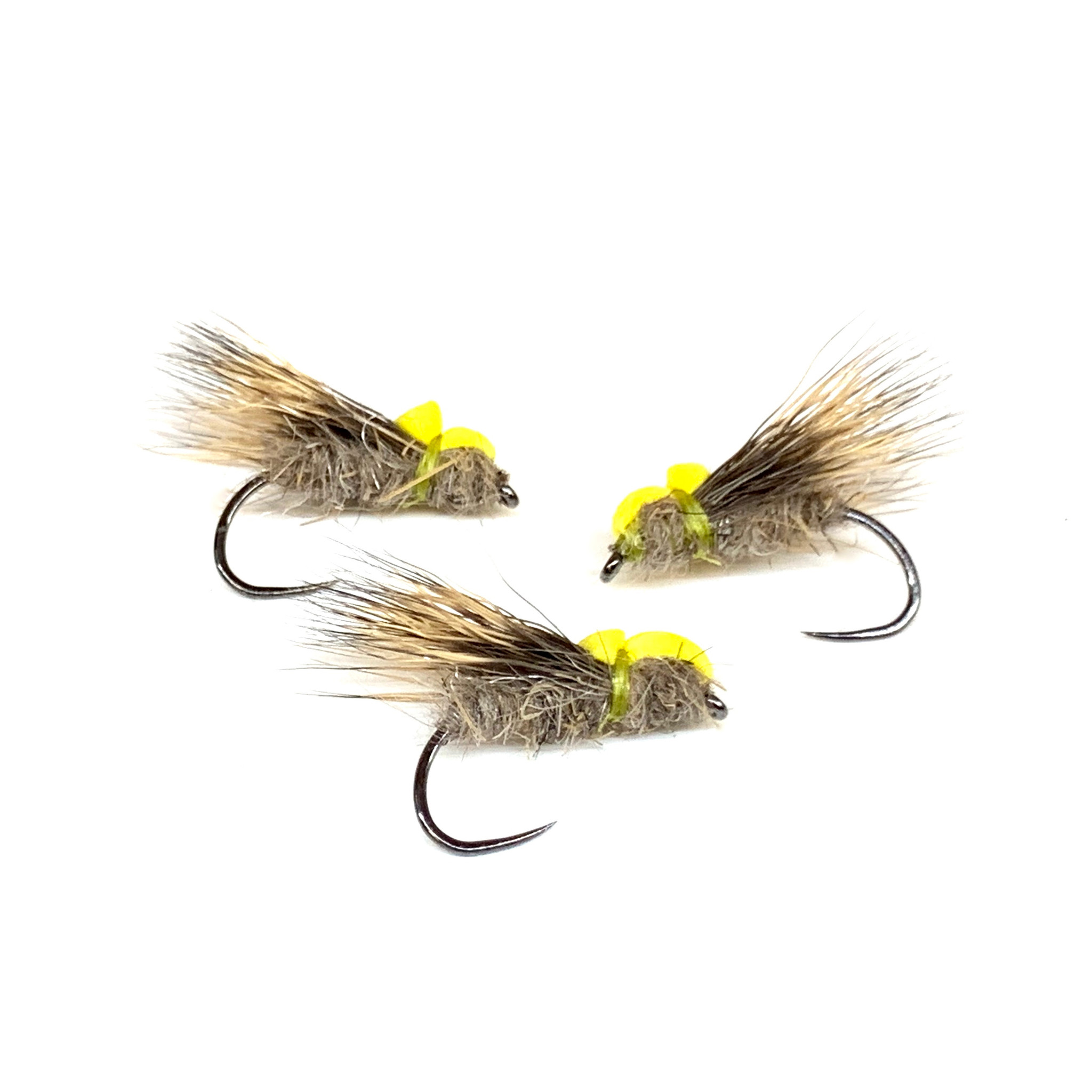 Balloon Caddis