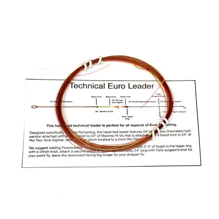 Royal Treatment Josh's Technical Euro Leader