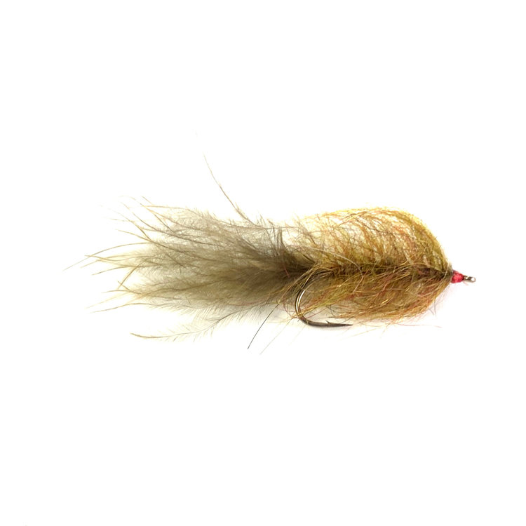 Solitude Hale Bopp Leech