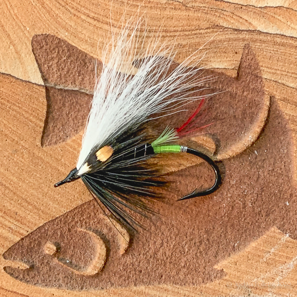 Green Pink Red Butt Skunk Flies, Butt Skunk, Salmon Fishing, Steelhead  Fishing, Fishing Lures 