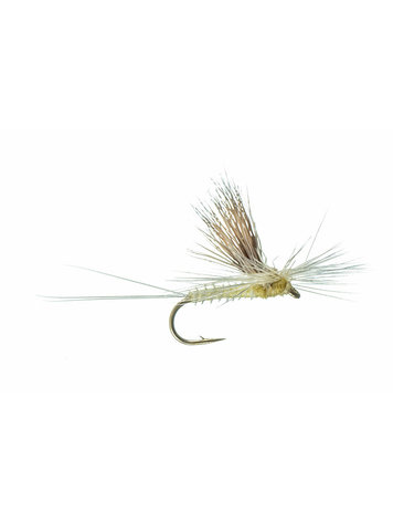 Montana Fly Co Galloup's Tilt Wing, PMD
