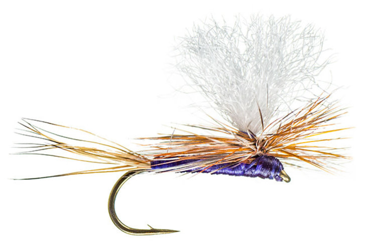 Montana Fly Co Purple Haze