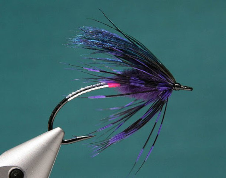 Solitude Summerberry Steelhead Fly by Joel La Follette Sz 2