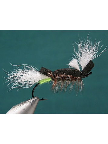 Solitude Skate'n Fool by Joel La Follette  Sz 6