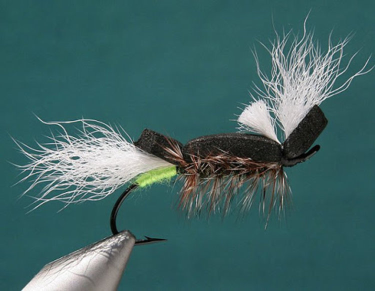 Solitude Skate'n Fool by Joel La Follette Sz 6