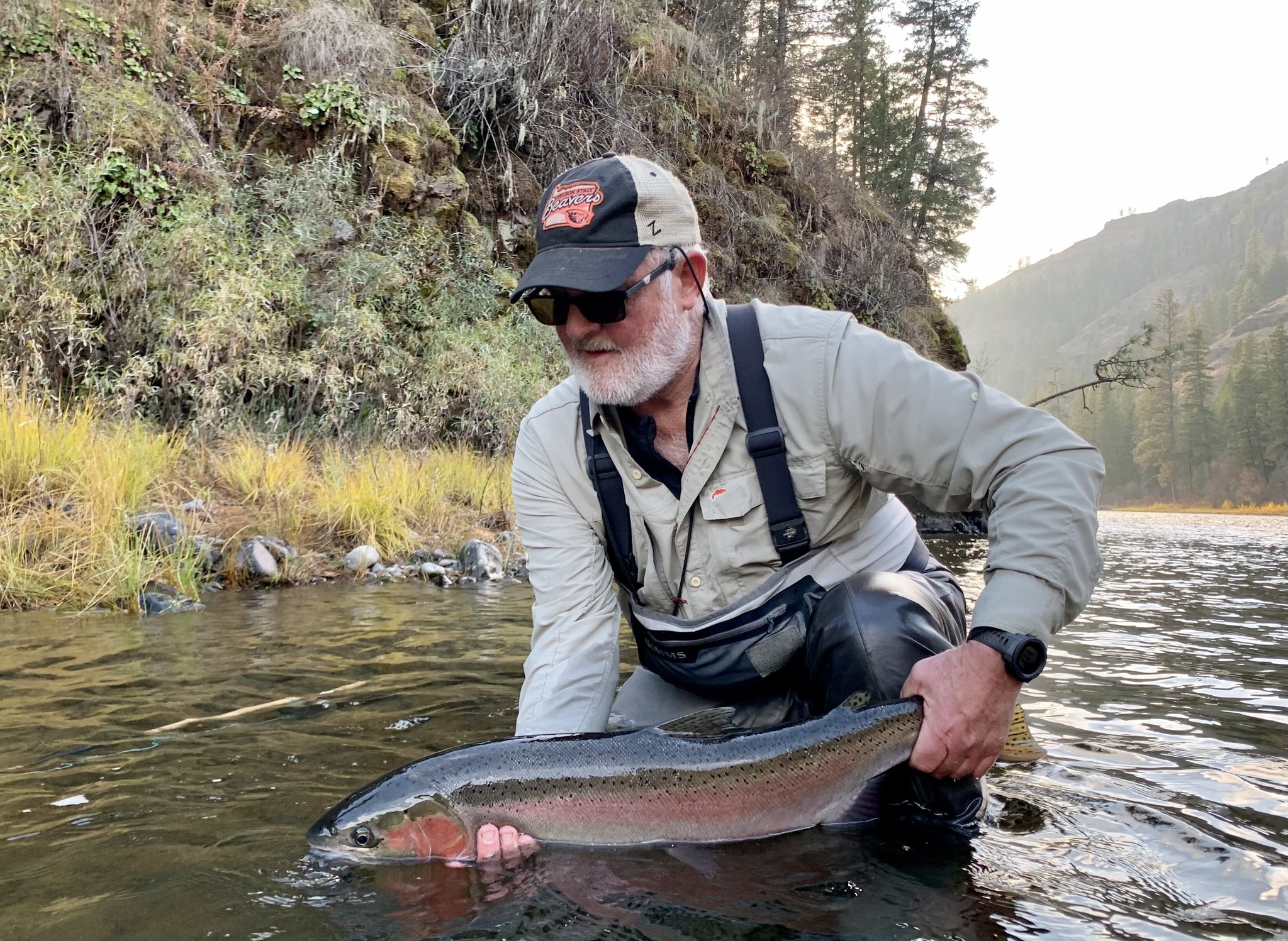Fall steelhead odyssey