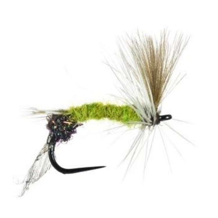Umpqua Feather Merchants Silvey's Hatching Mayfly