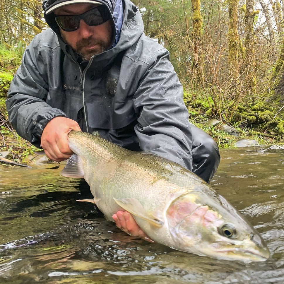 Latest Fly Fishing News and Reports - Steelhead Fishing with the Soggy  Bottom Boys - Royal Treatment Fly Fishing