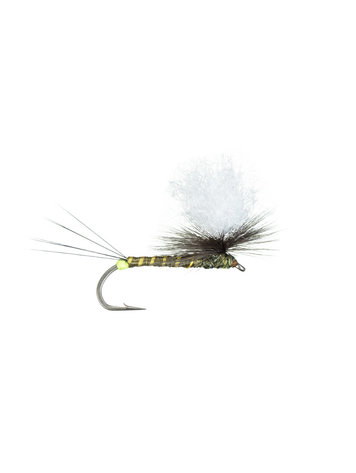 Montana Fly Co Hot Spot Para-Wulff- Green Drake
