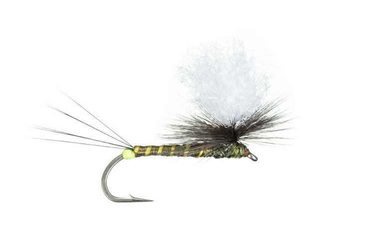 Montana Fly Co Hot Spot Para-Wulff- Green Drake