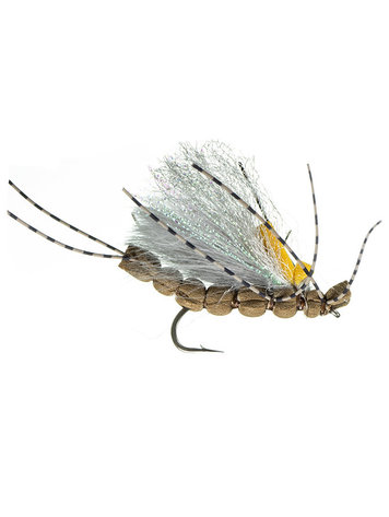 Montana Fly Co Jake's Blackout Stone Golden #8