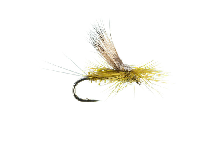 Montana Fly Co Galloup's Tilt Wing, PMD