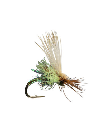 Rio Rio's Body Double Caddis