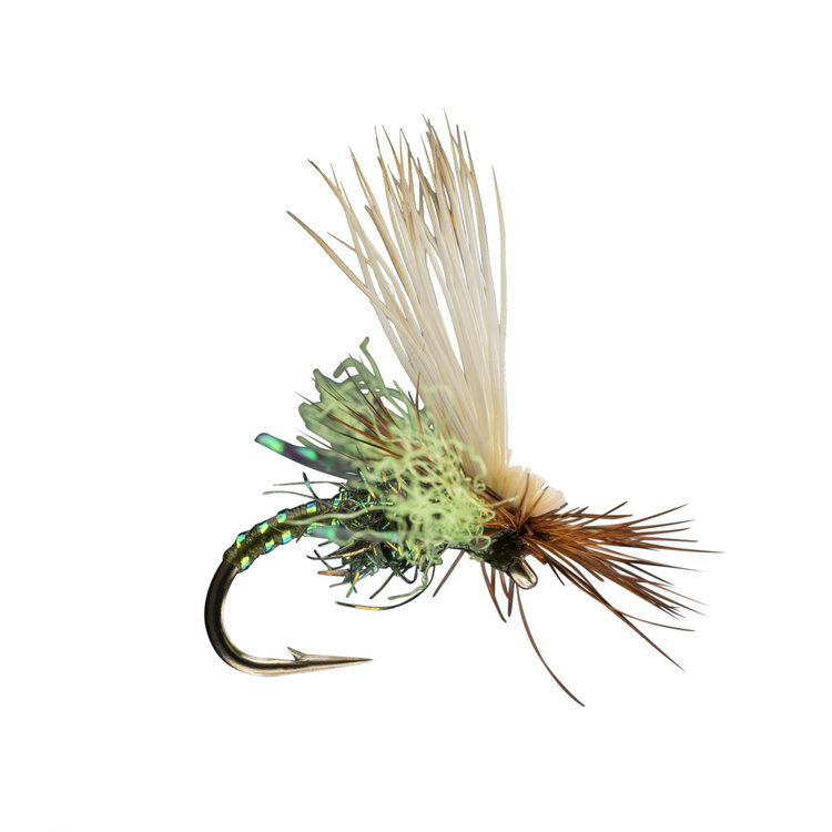 Rio Rio's Body Double Caddis