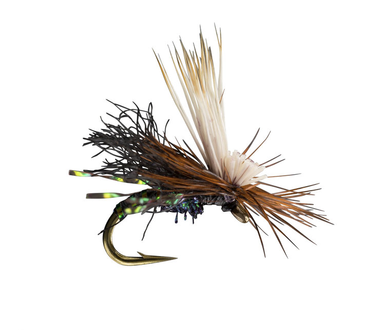 Rio Rio's Body Double Caddis