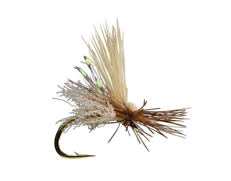 Rio Rio's Body Double Caddis