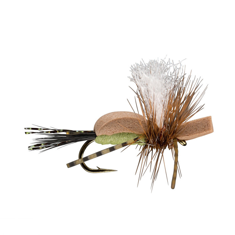 Rio Rio's Dry Humper