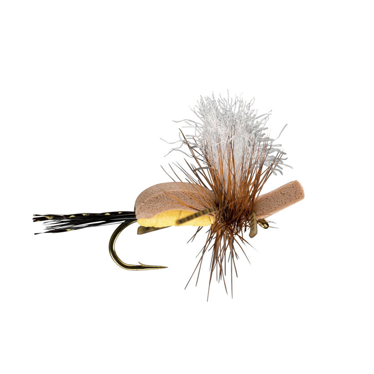 Rio Rio's Dry Humper