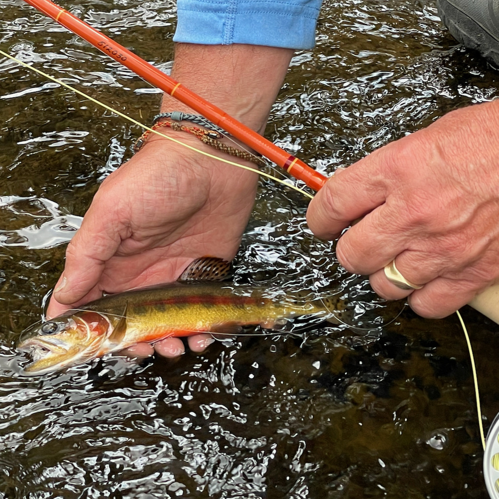 Gold in the Sierras