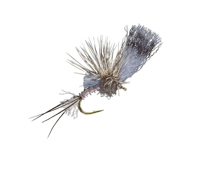 Umpqua Feather Merchants Quigley's Film Critic