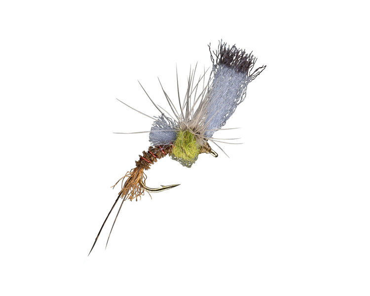 Umpqua Feather Merchants Quigley's Film Critic