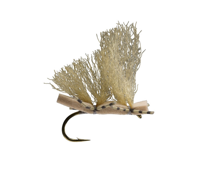 Rio Rio's Big Boned Caddis