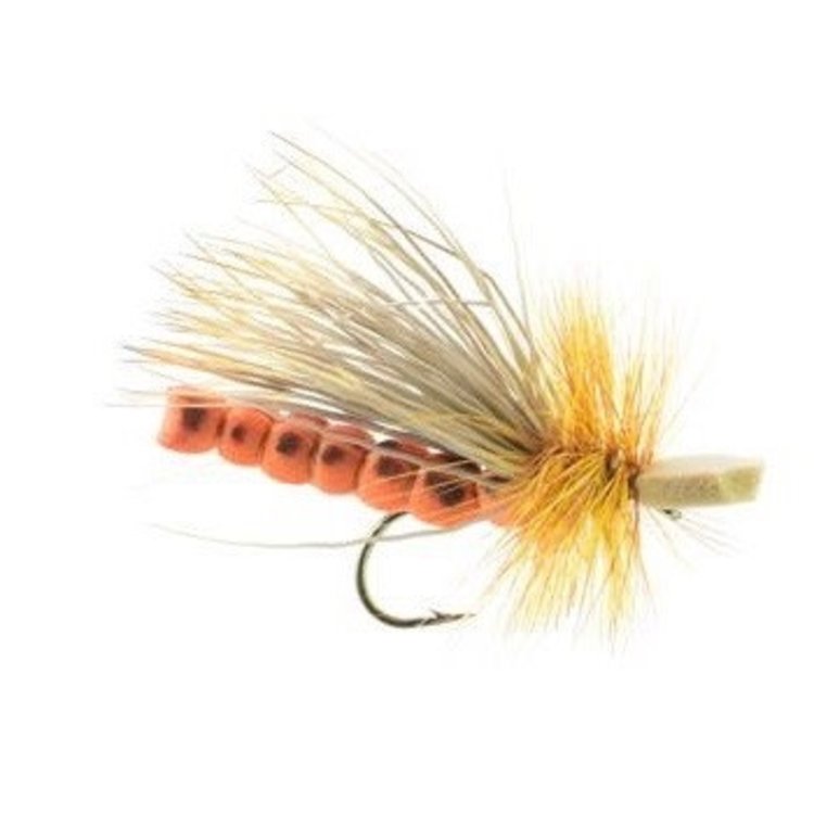Umpqua Feather Merchants Morrish October Caddis Adult Sz 8