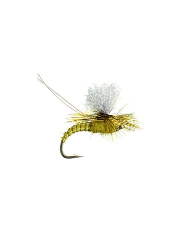 Montana Fly Co Christiaen's GT Adult Green Drake Sz 10