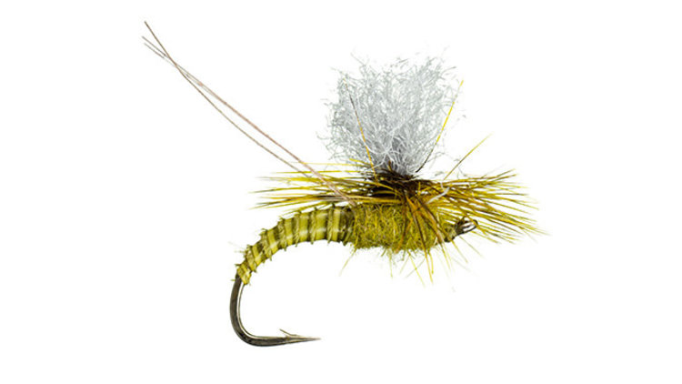 Montana Fly Co Christiaen's GT Adult Green Drake Sz 10