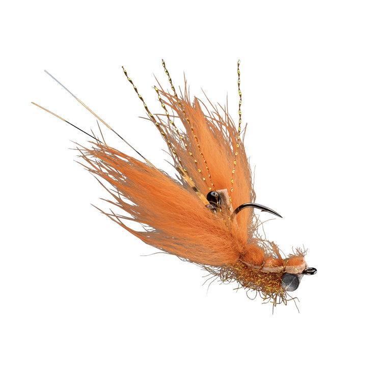 Rio RIO's Cray Cray Rust Sz 6