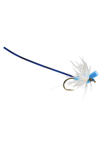 Rio Rio Adult Wiggle Damsel Sz 12