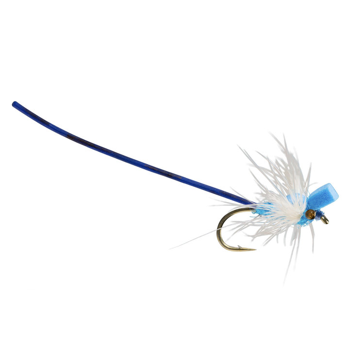 Rio Rio Adult Wiggle Damsel Sz 12