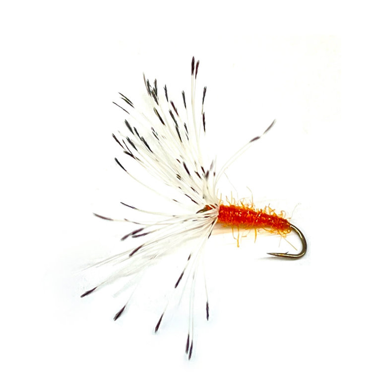 Pacific Fly Group Reverse Spider