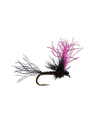 Umpqua Feather Merchants Quigley's Sparkle Flag