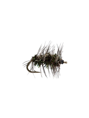 Solitude Griffith Gnat