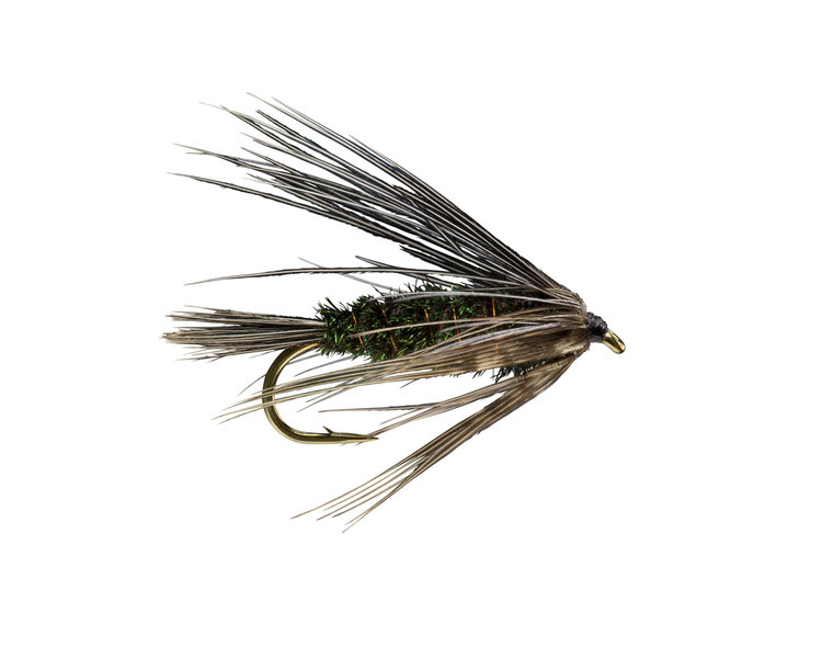 Solitude Carey Special