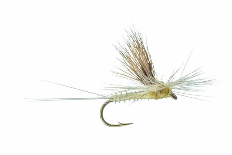 Montana Fly Co Galloup's Tilt Wing, PMD
