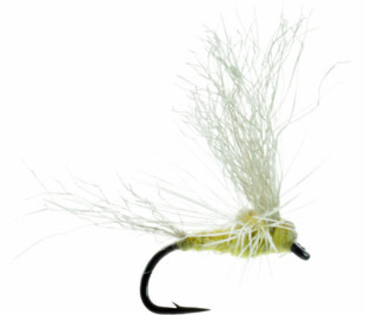 Umpqua Feather Merchants Morrish May Day