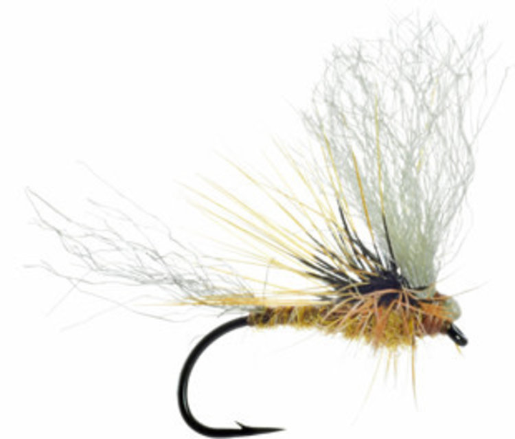 Umpqua Feather Merchants Morrish May Day