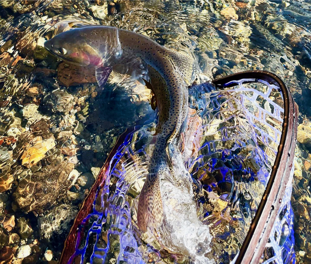 Trout Bum Road Trip Report~Part 2