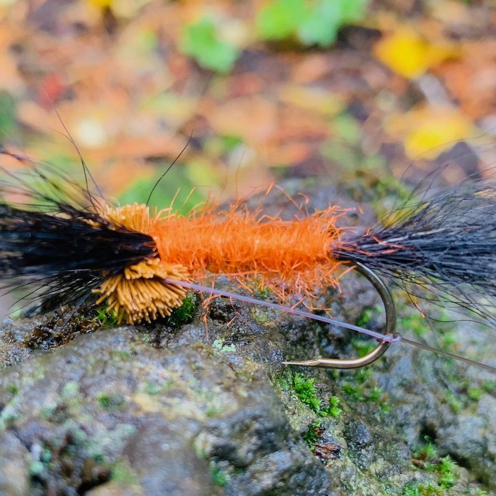 Latest Fly Fishing News and Reports - Check Your Fly! - Royal Treatment Fly  Fishing