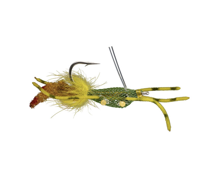 Rio RIO's Fiddler On The Reef Sz 1