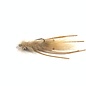 Mantis Shrimp, Tan