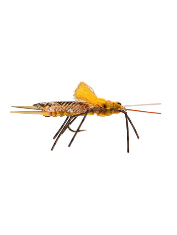 Umpqua Feather Merchants Morrish Still Stone Golden Stone Sz 8