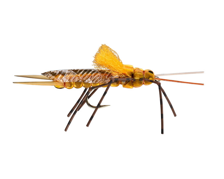 Umpqua Feather Merchants Morrish Still Stone Golden Stone Sz 8