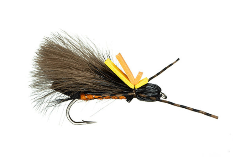 Montana Fly Co Oswald's Rastaman Salmonfly Sz 6