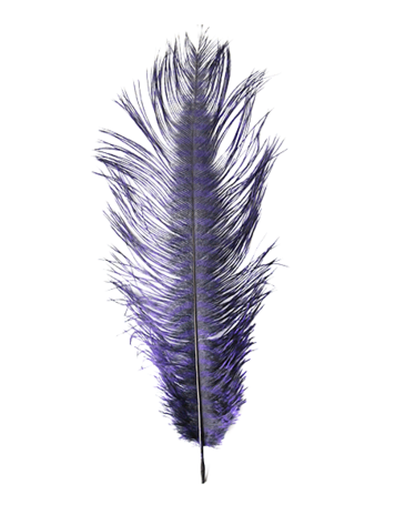 Montana Fly Co Barred Ostrich Plumes