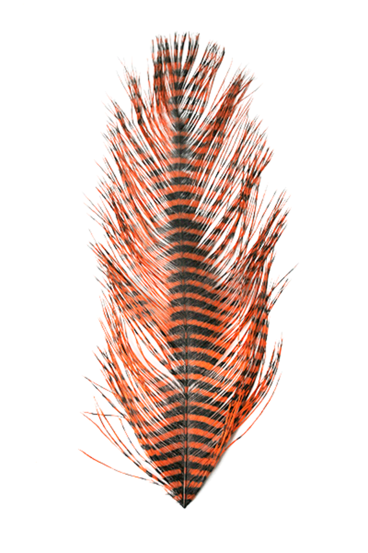 Montana Fly Co Barred Ostrich Plumes